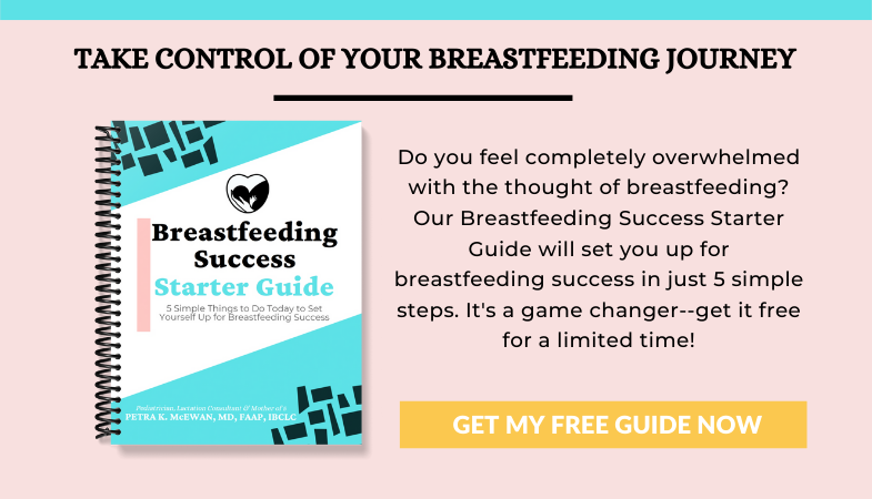 Breastfeeding Success Starter Guide