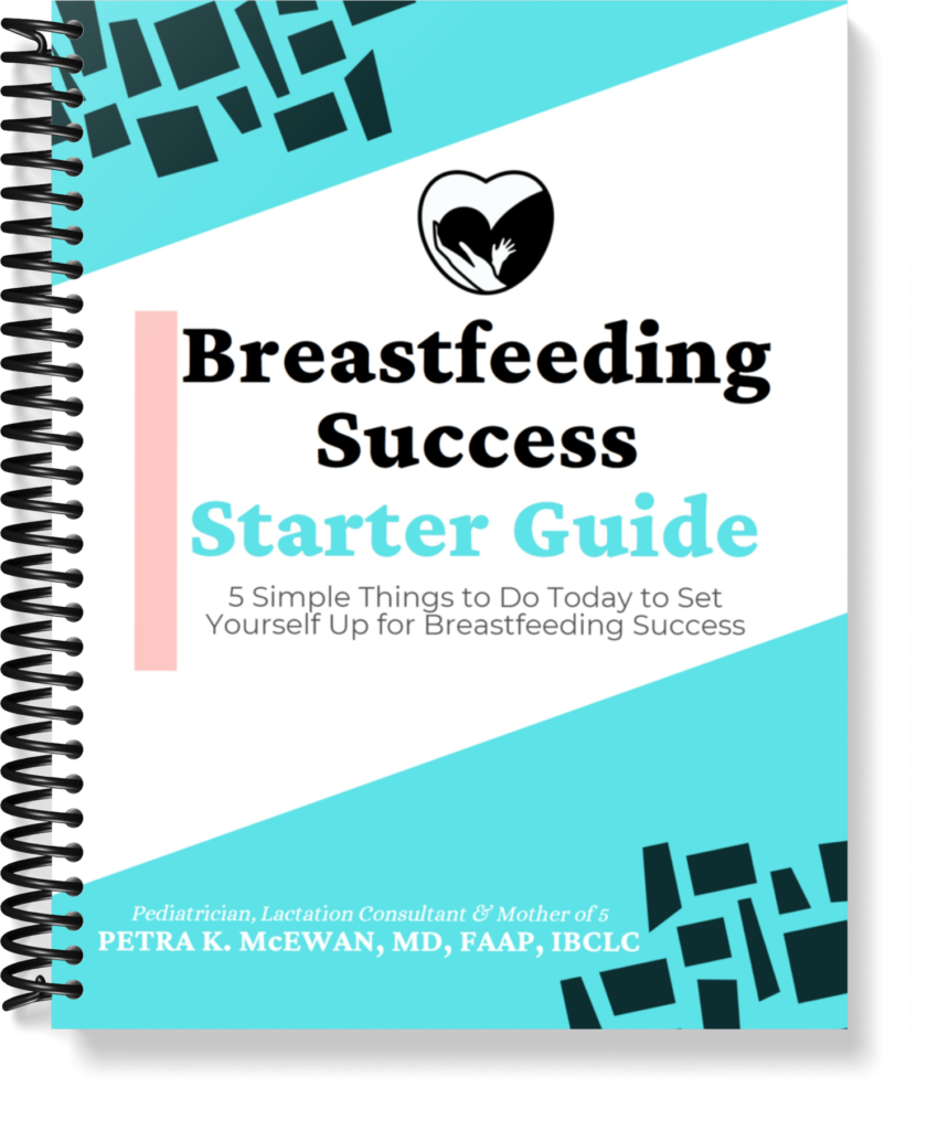 Breastfeeding Success  Starter Guide